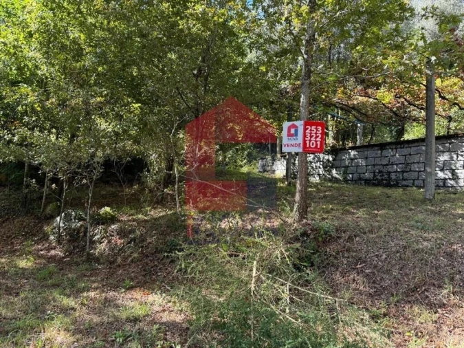 Terreno para Venda em Pico de Regalados, Gondiães e Mós Foto 7