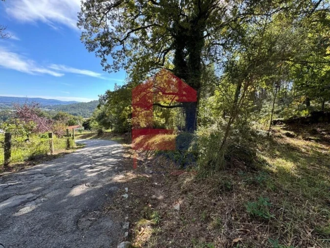 Terreno para Venda em Pico de Regalados, Gondiães e Mós Foto 2