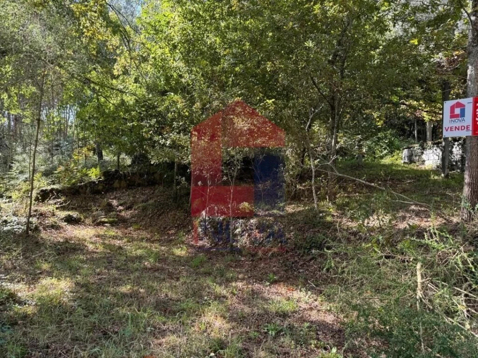 Terreno para Venda em Pico de Regalados, Gondiães e Mós Foto 8