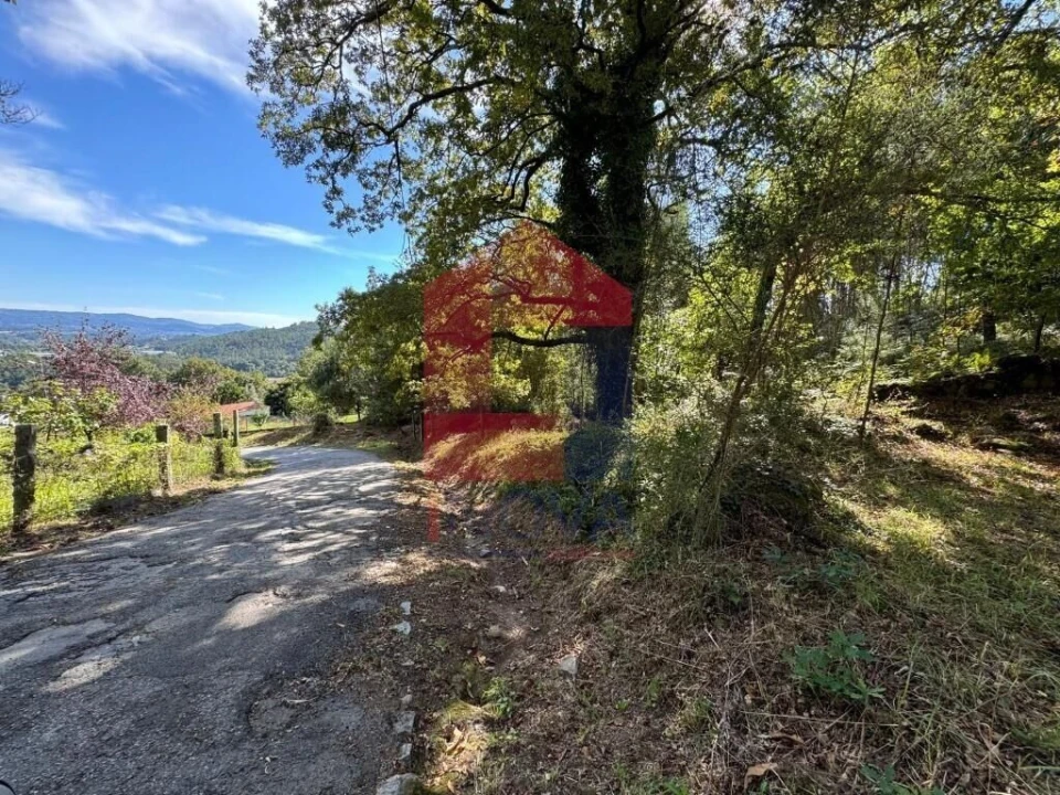 Terreno para Venda em Pico de Regalados, Gondiães e Mós Foto 2