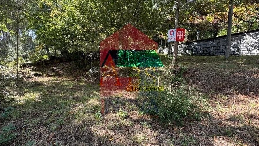 Terreno para Venda em Pico de Regalados, Gondiães e Mós