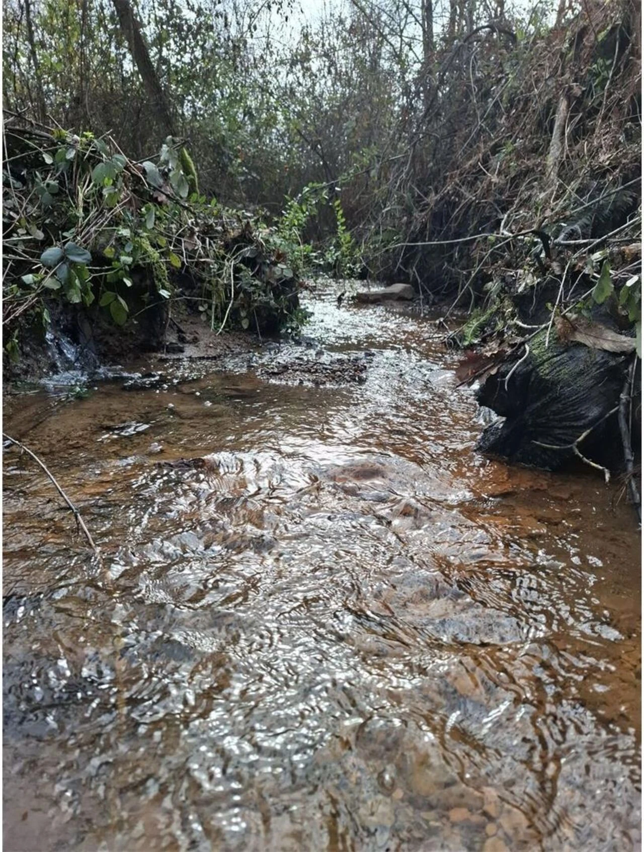 Terreno para Venda em Pedroso e Seixezelo Foto 3