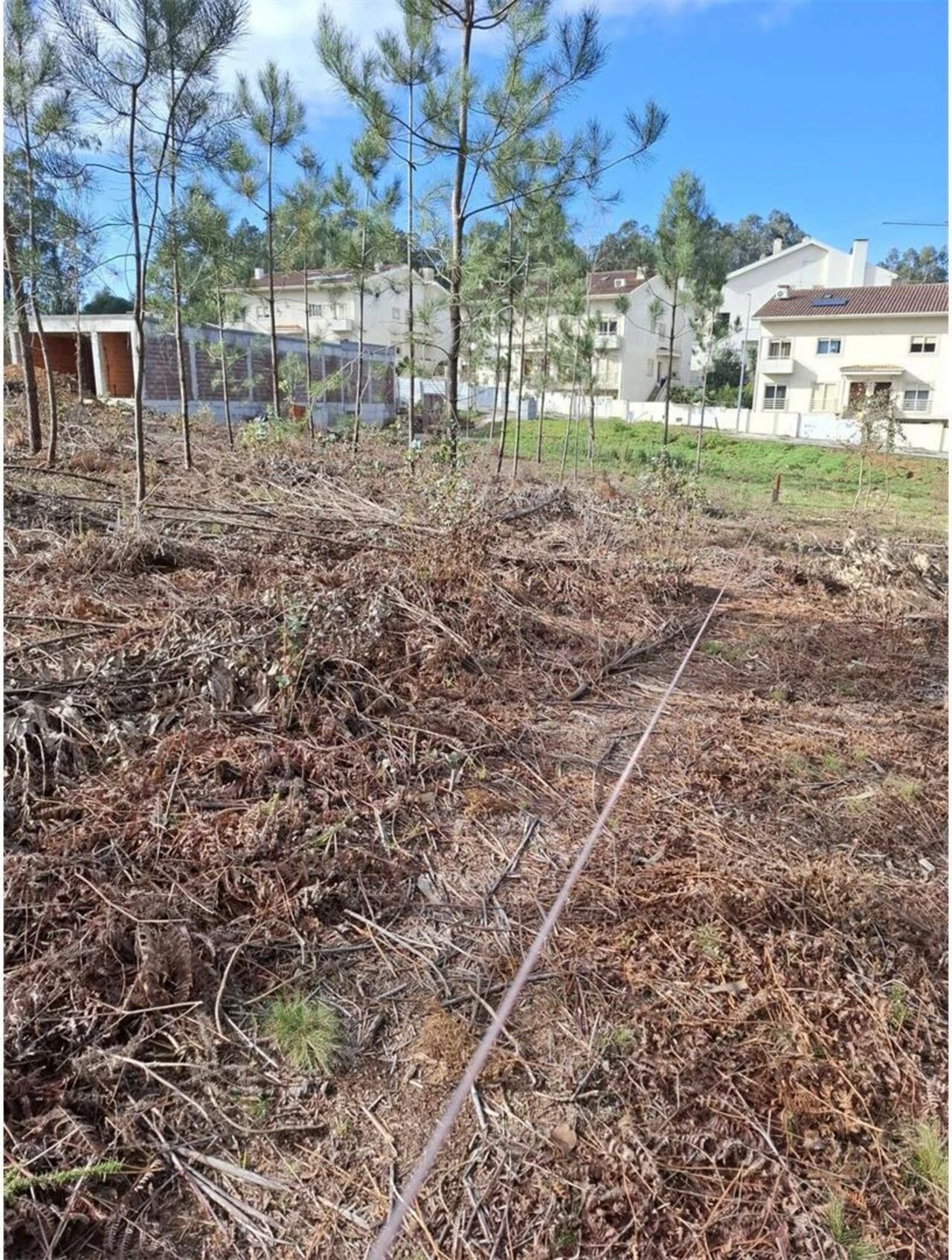 Terreno para Venda em Pedroso e Seixezelo Foto 4