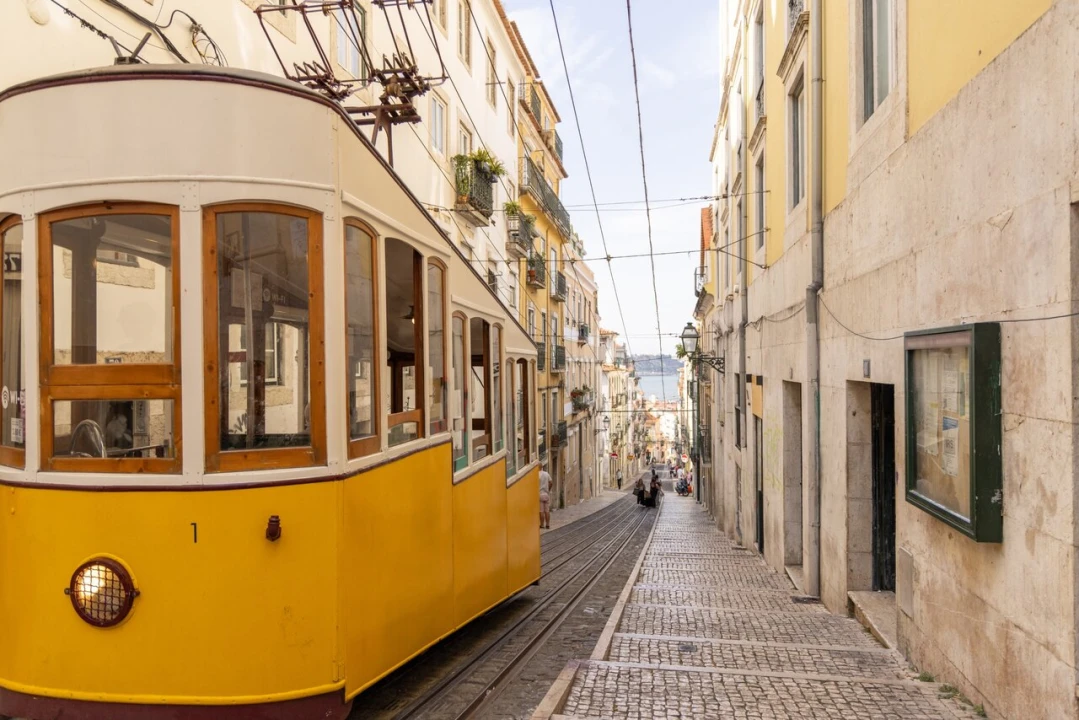 Loja para Arrendamento em Misericórdia Foto 13