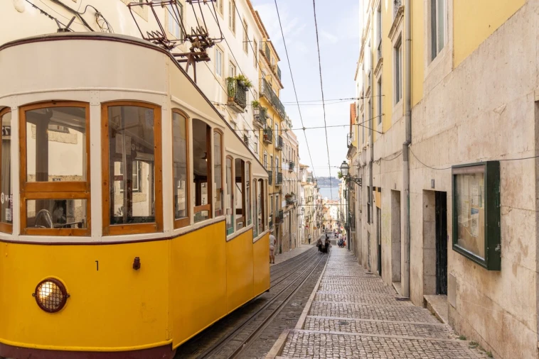 Loja para Arrendamento em Misericórdia Foto 13