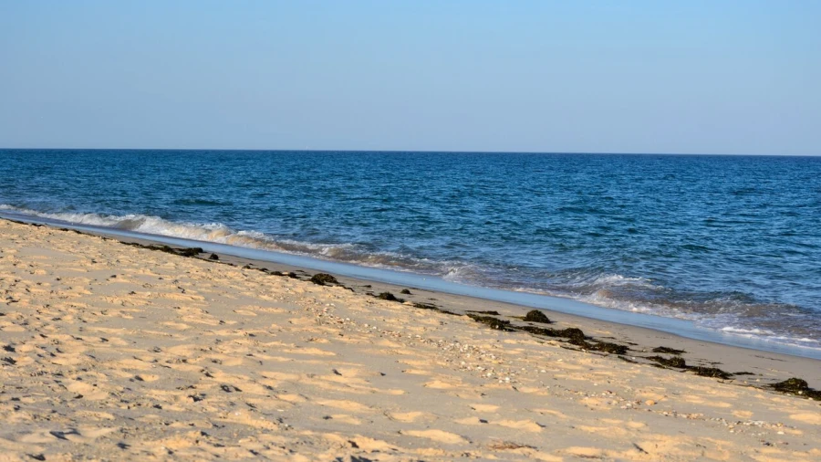 Apartamento T3 para Venda em Tavira (Santa Maria e Santiago) Foto 15