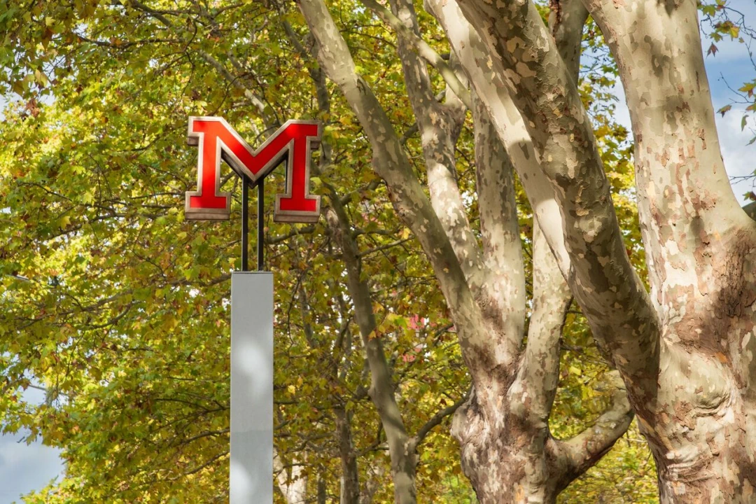 Escritório para Arrendamento em Avenidas Novas Foto 13