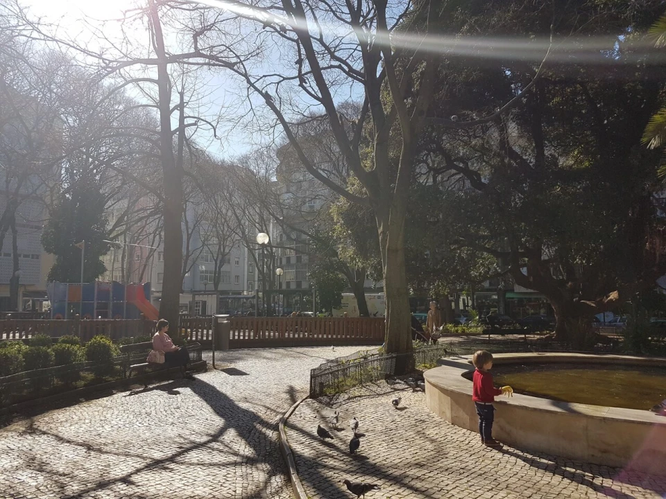 Apartamento T2 para Venda em Estrela Foto 9