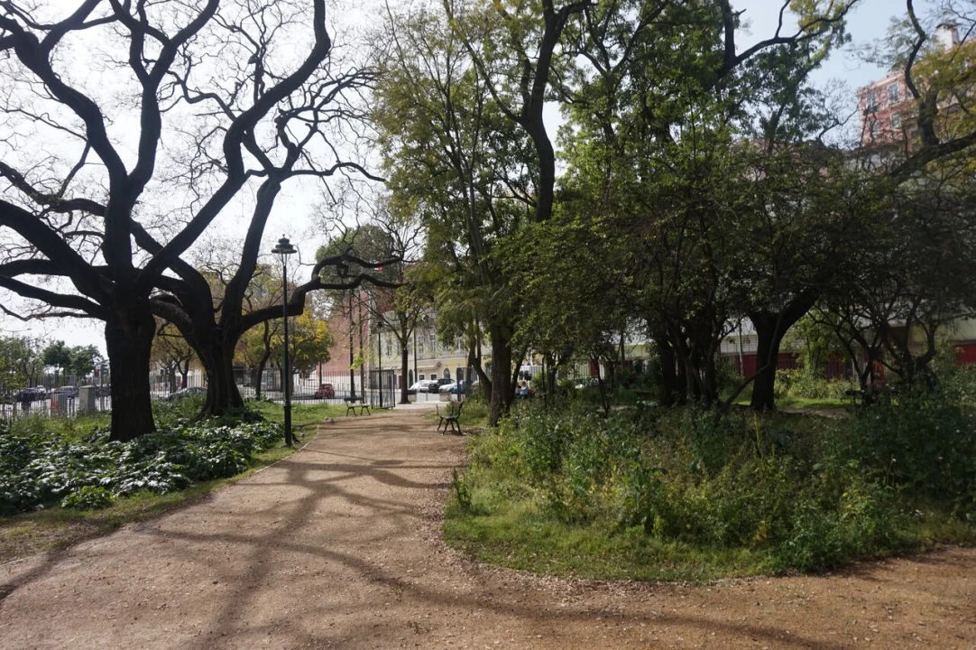 Loja para Venda em Estrela Foto 13