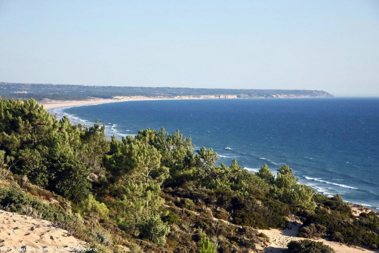 Moradia T3 para Venda em Charneca de Caparica e Sobreda Foto 12