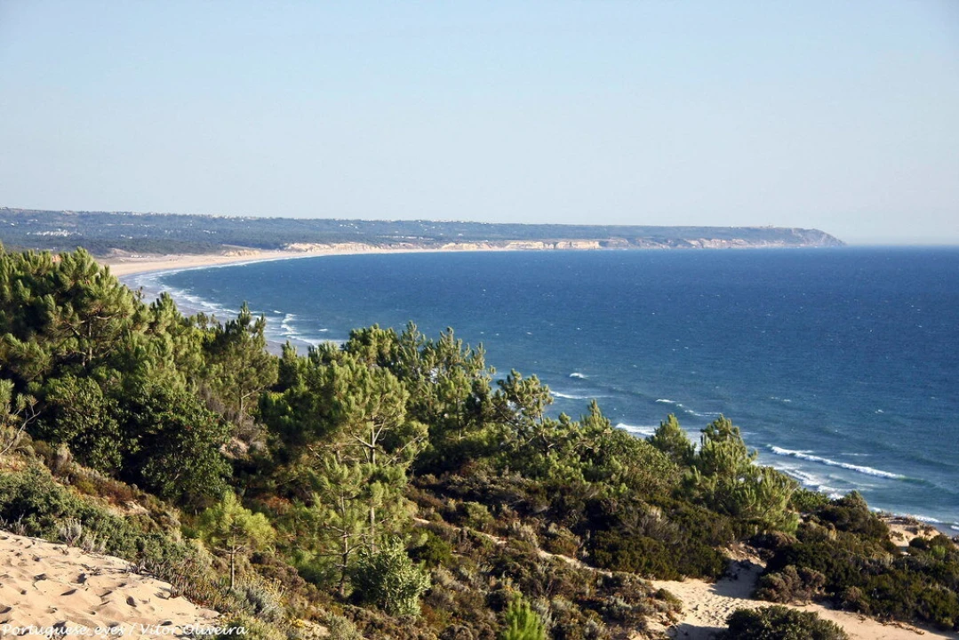 Apartamento T1 para Venda em Charneca de Caparica e Sobreda Foto 18