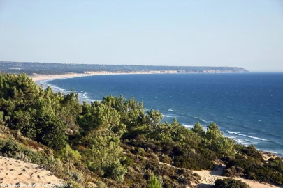 Apartamento T2 para Venda em Charneca de Caparica e Sobreda