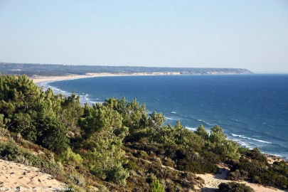 Apartamento T1 para Venda em Charneca de Caparica e Sobreda