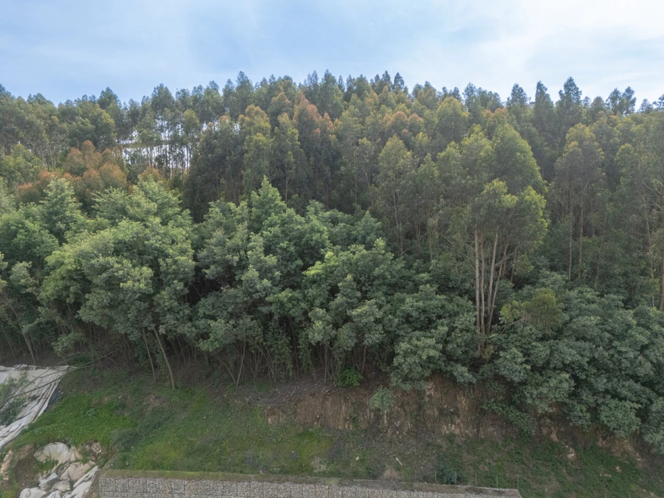 Apartamento T2 para Venda em Santa Marinha e São Pedro da Afurada Foto 37