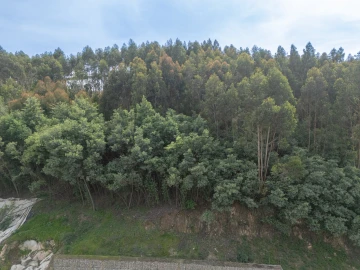 Apartamento T3 para Venda em Santa Marinha e São Pedro da Afurada