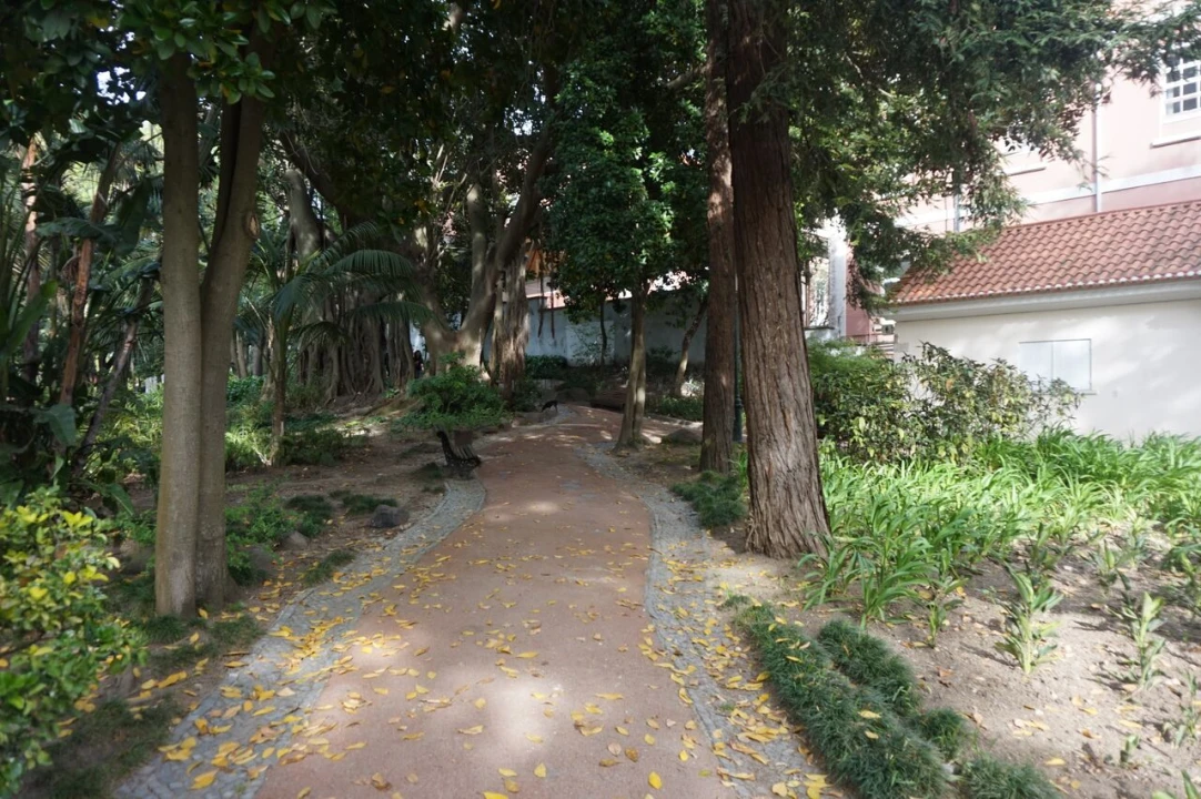 Apartamento T0 para Venda em Estrela Foto 7