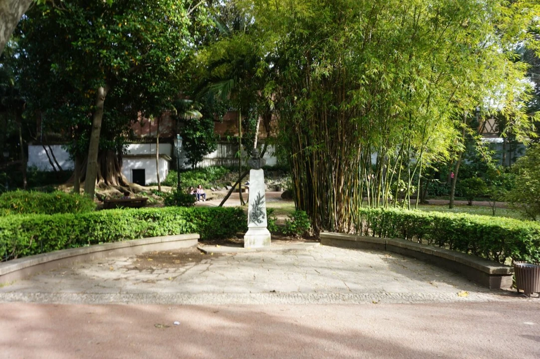 Apartamento T0 para Venda em Estrela Foto 8