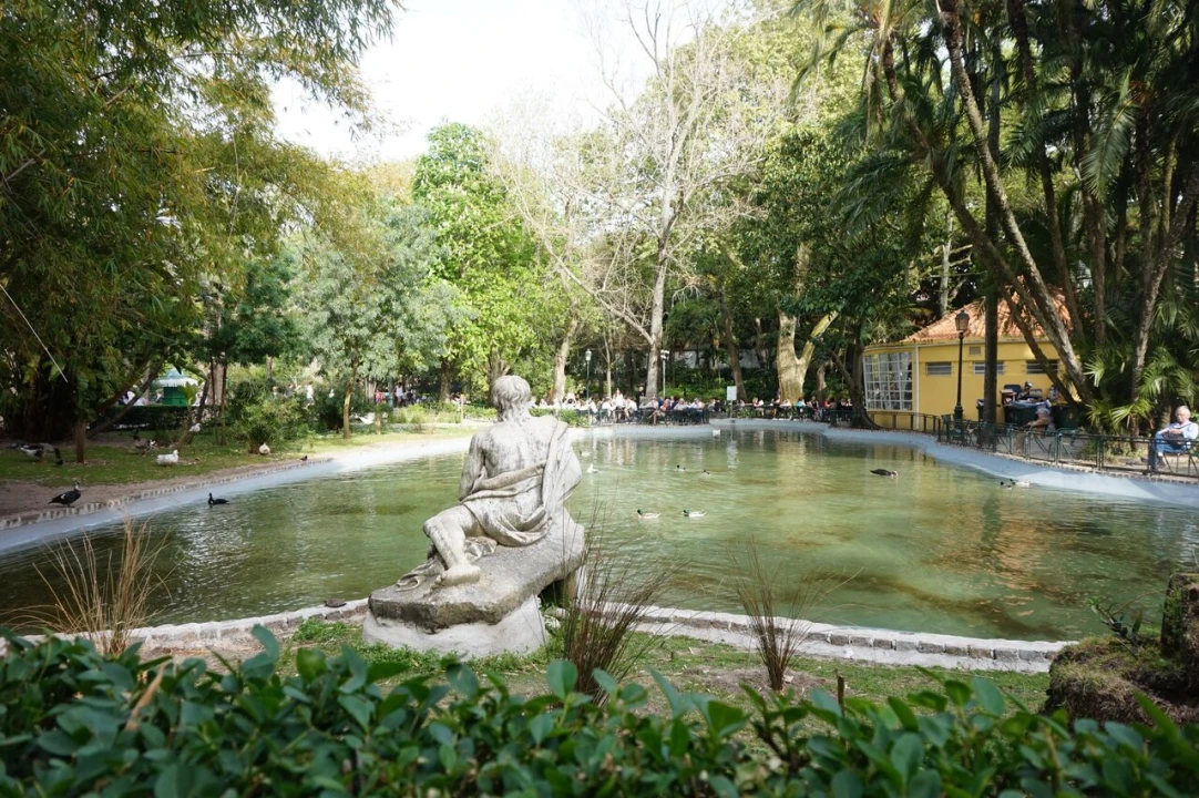 Apartamento T0 para Venda em Estrela Foto 15