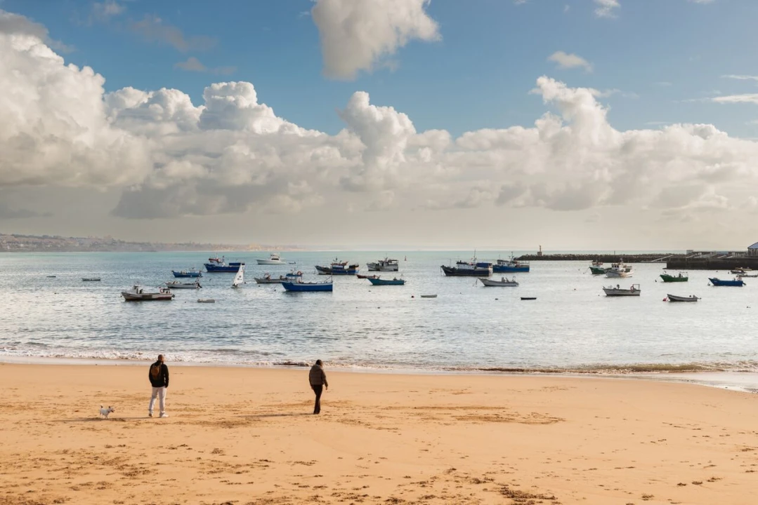 Apartamento T2 para Venda em Cascais e Estoril Foto 19