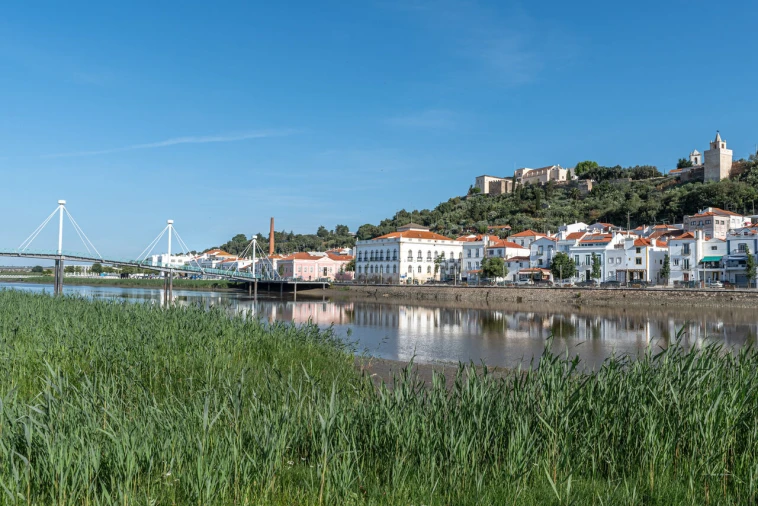 Apartamento T1 para Venda em Santa Maria do Castelo e Santiago e Santa Susana Foto 9