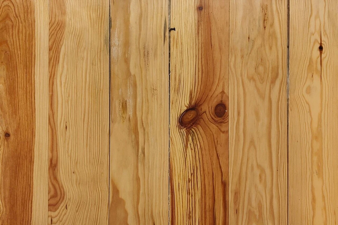 Apartamento T0 para Venda em Santa Maria Maior Foto 16