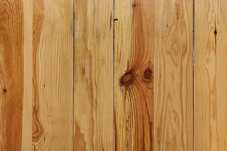 Apartamento T0 para Venda em Santa Maria Maior Foto 16