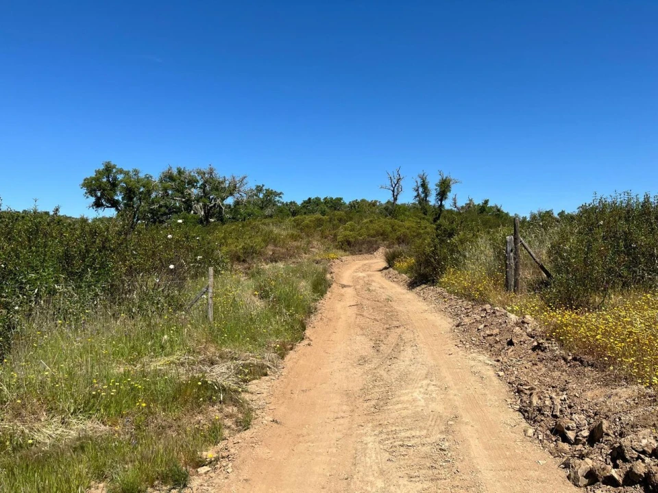 Terreno para Venda em Santiago do Cacém, Santa Cruz e São Bartolomeu da Serra Foto 19
