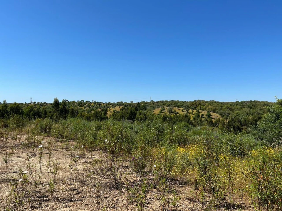 Terreno para Venda em Santiago do Cacém, Santa Cruz e São Bartolomeu da Serra Foto 24