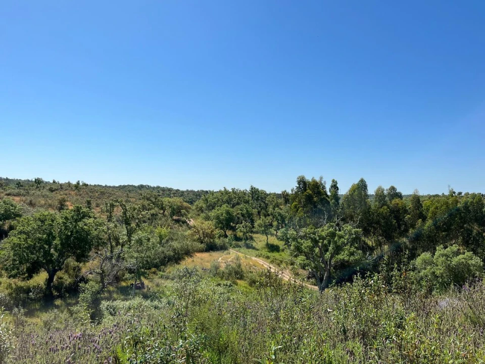 Terreno para Venda em Santiago do Cacém, Santa Cruz e São Bartolomeu da Serra Foto 26