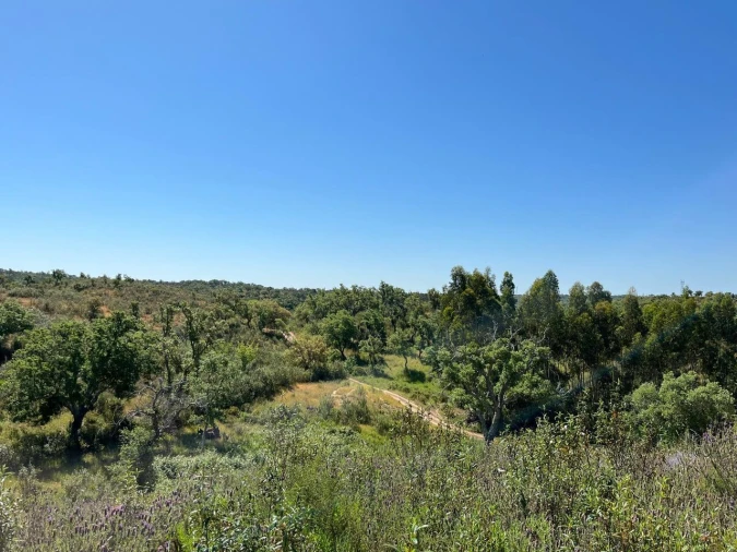 Terreno para Venda em Santiago do Cacém, Santa Cruz e São Bartolomeu da Serra Foto 26