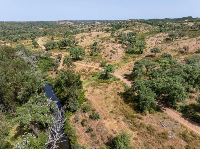 Terreno para Venda em Santiago do Cacém, Santa Cruz e São Bartolomeu da Serra Foto 9