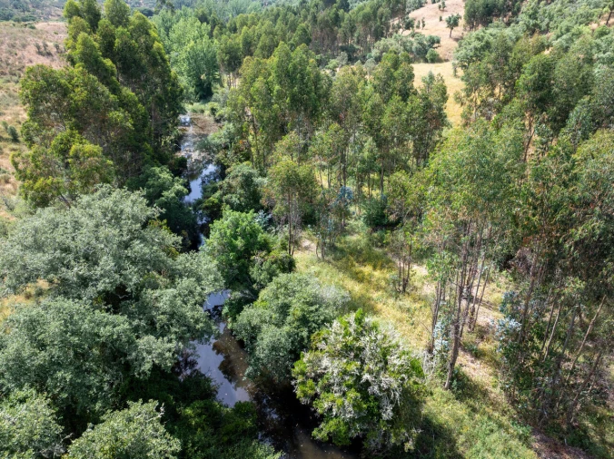 Terreno para Venda em Santiago do Cacém, Santa Cruz e São Bartolomeu da Serra Foto 10