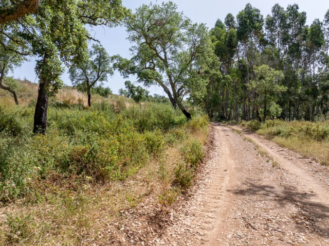 Terreno para Venda em Santiago do Cacém, Santa Cruz e São Bartolomeu da Serra Foto 17