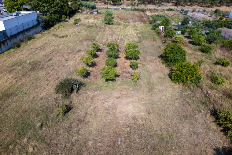 Terreno para Venda em Grândola e Santa Margarida da Serra Foto 9