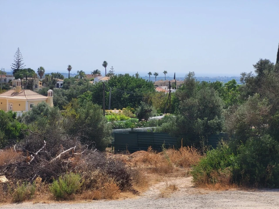 Terreno para Venda em Loule (São Clemente) Foto 4