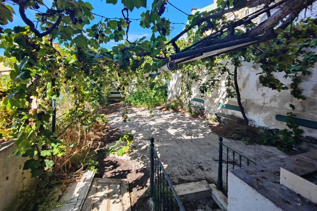 Prédio para Venda em Santa Maria Maior Foto 18