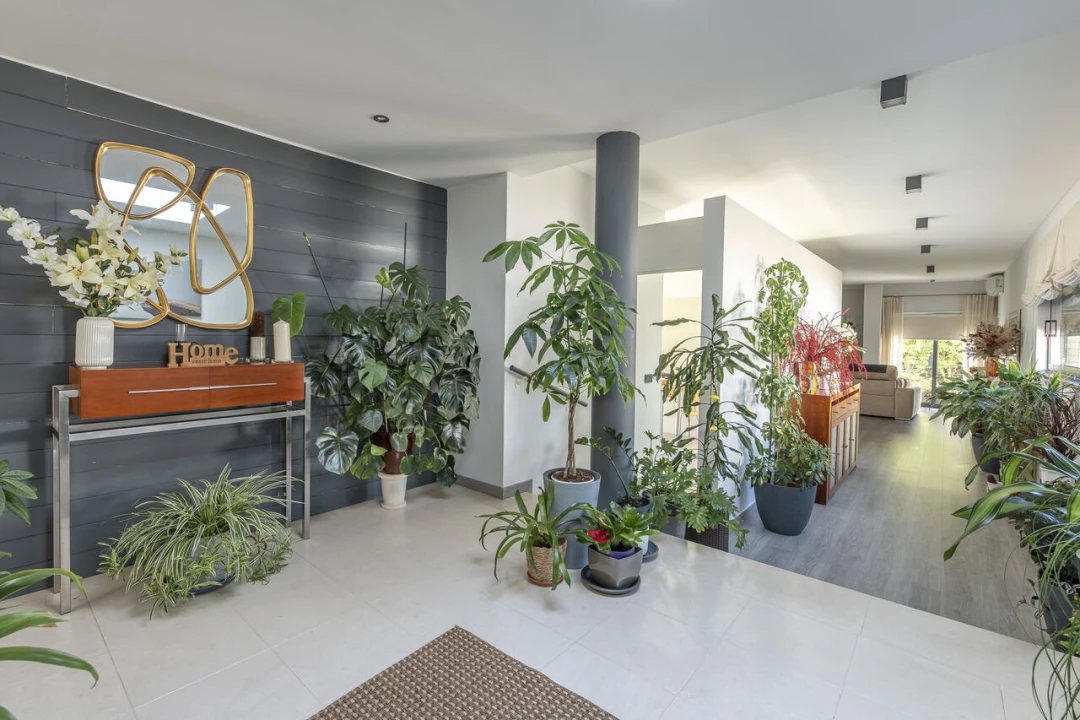 Moradia T4 para Venda em Santa Maria do Castelo e Santiago e Santa Susana Foto 10