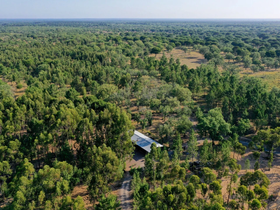 Moradia T2 para Venda em Grândola e Santa Margarida da Serra Foto 6