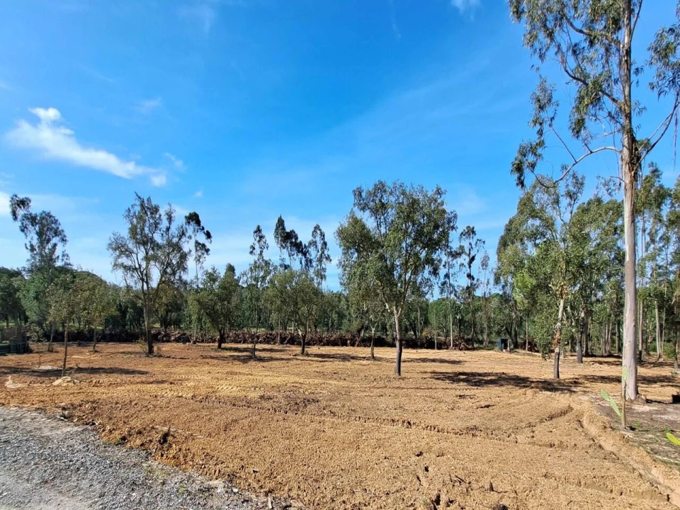 Moradia T2 para Venda em Grândola e Santa Margarida da Serra Foto 15