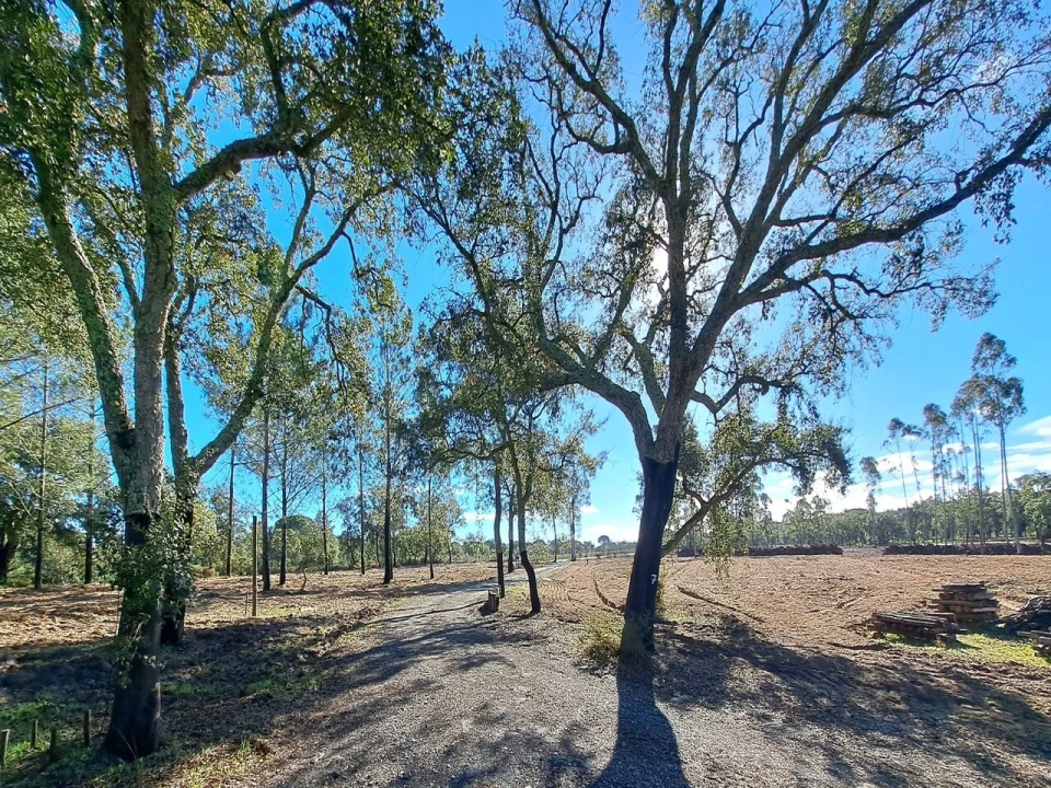 Moradia T2 para Venda em Grândola e Santa Margarida da Serra Foto 23
