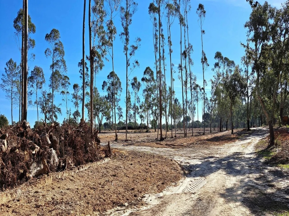 Moradia T2 para Venda em Grândola e Santa Margarida da Serra Foto 29