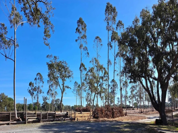 Moradia T2 para Venda em Grândola e Santa Margarida da Serra Foto 20