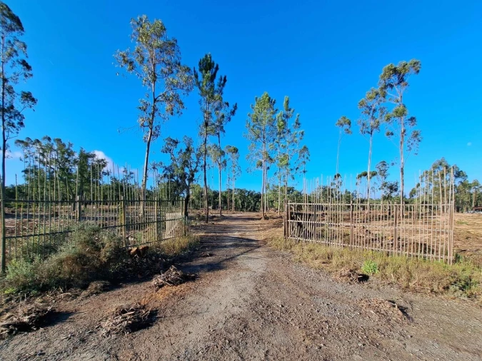 Moradia T2 para Venda em Grândola e Santa Margarida da Serra Foto 27