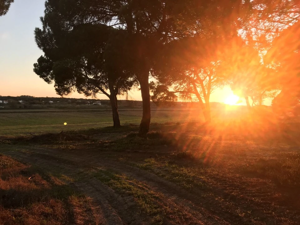 Terreno para Venda em Santa Maria do Castelo e Santiago e Santa Susana Foto 13