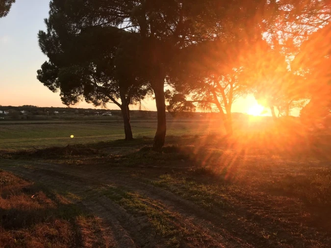 Terreno para Venda em Santa Maria do Castelo e Santiago e Santa Susana Foto 13