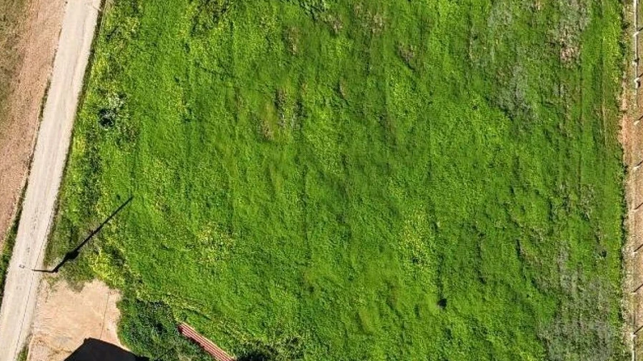 Terreno para Venda em Santa Maria do Castelo e Santiago e Santa Susana