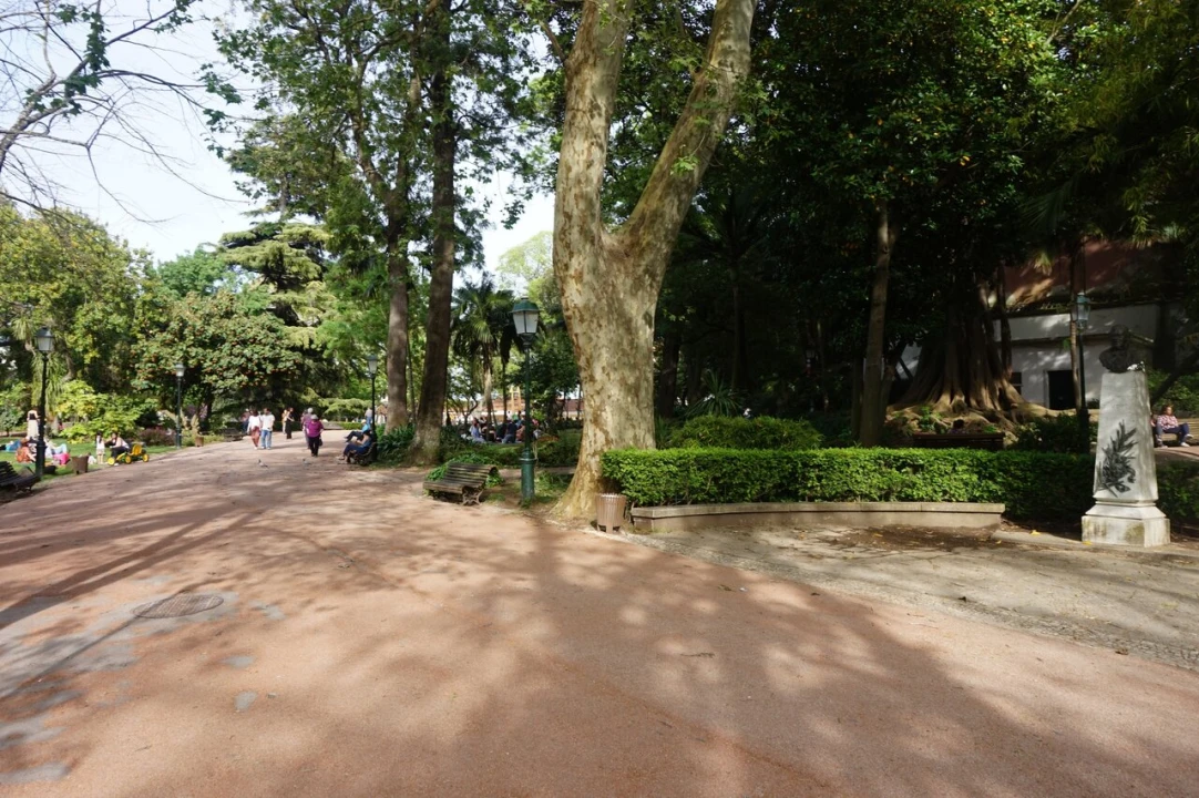 Apartamento T2 para Venda em Estrela Foto 20