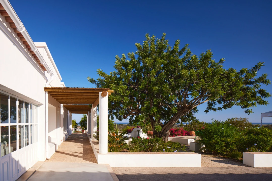 Quinta T15 para Venda em Moncarapacho e Fuseta Foto 53