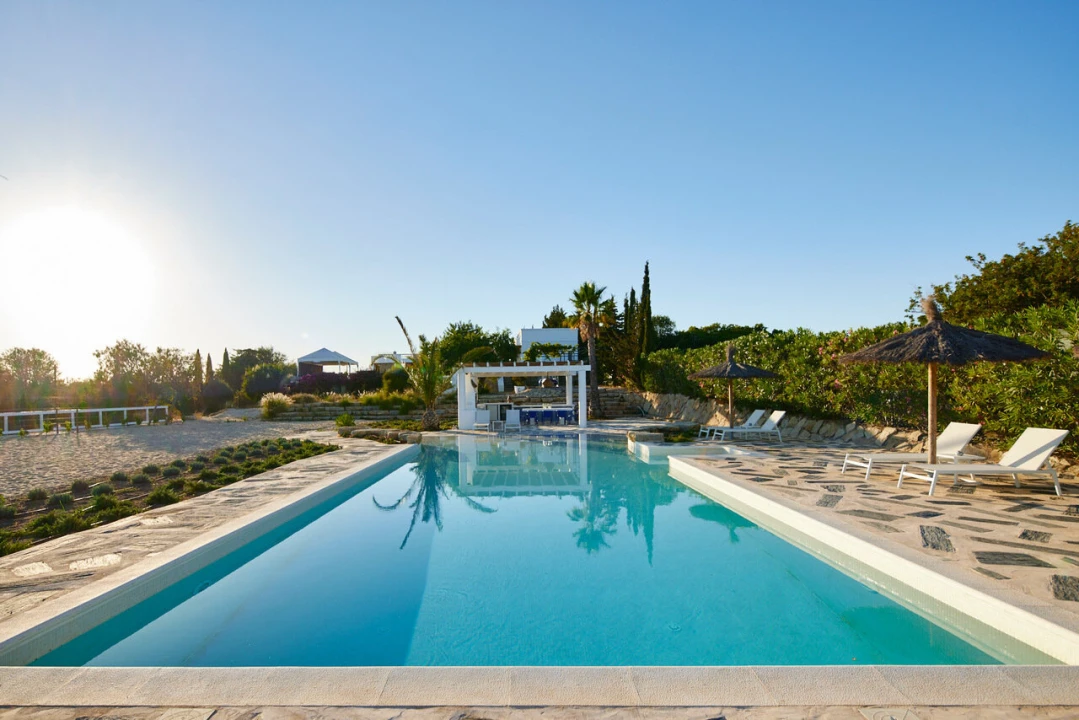 Quinta T15 para Venda em Moncarapacho e Fuseta Foto 17