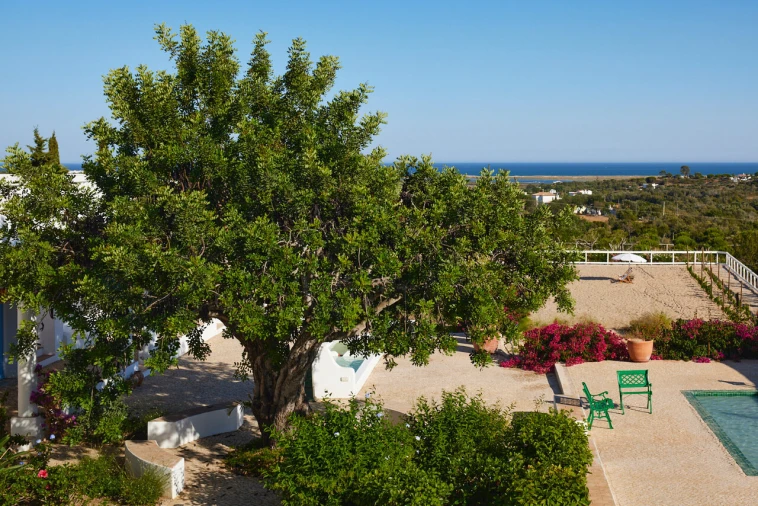 Quinta T15 para Venda em Moncarapacho e Fuseta Foto 54